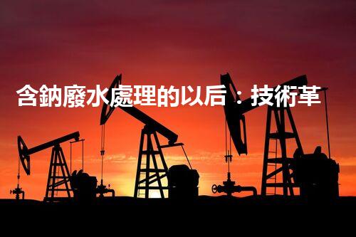 含鈉廢水處理的以后：技術革新與環(huán)保挑戰(zhàn)！